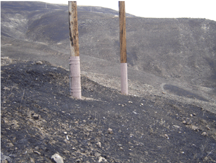 Pole wrap - fire guard